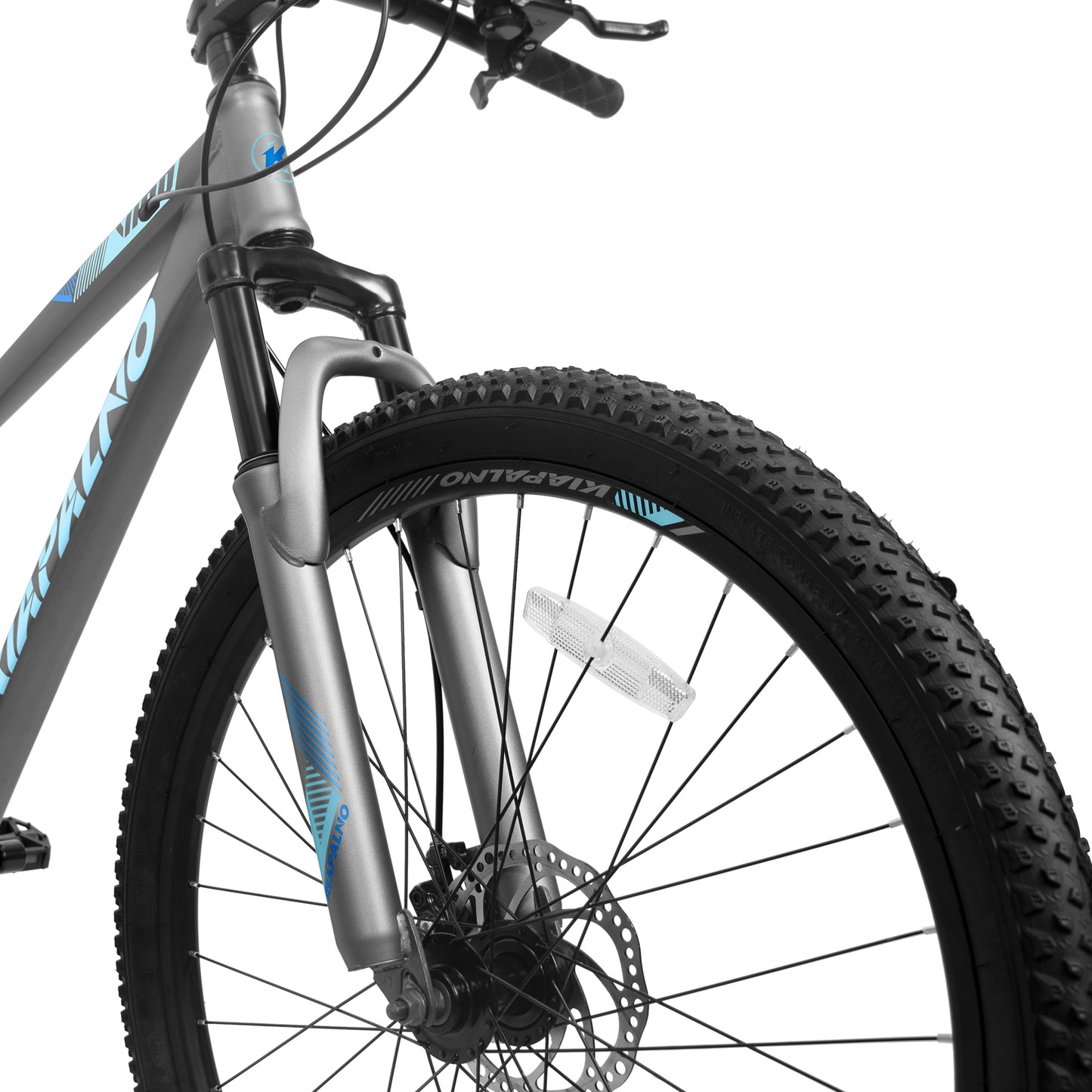Ecarpat Sport 26Inch Mountain Bike,21 Speed Dual Disc Brake Mountain Bicycle For Adults,Teens