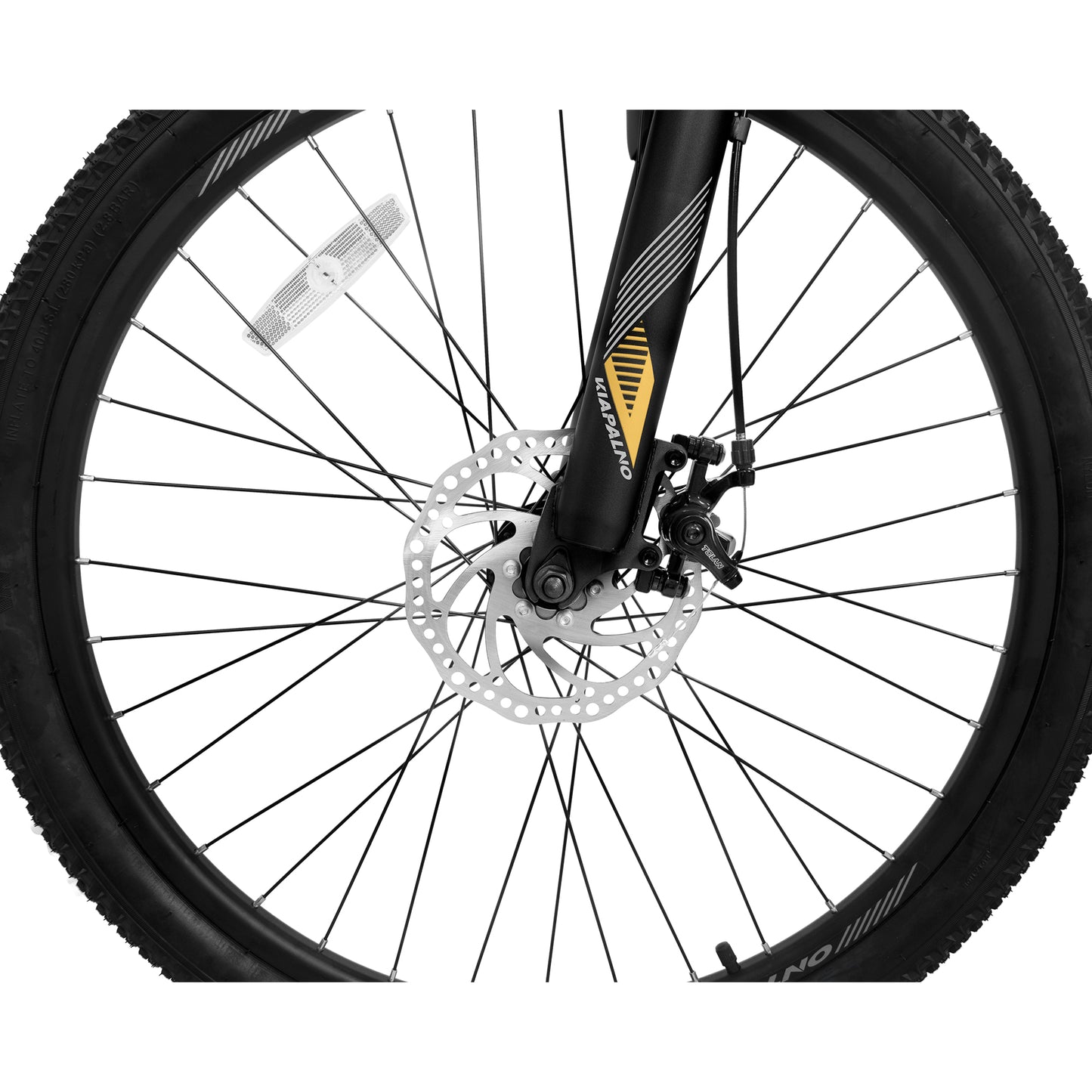 Ecarpat Sport 26Inch Mountain Bike,21 Speed Dual Disc Brake Mountain Bicycle For Adults,Teens