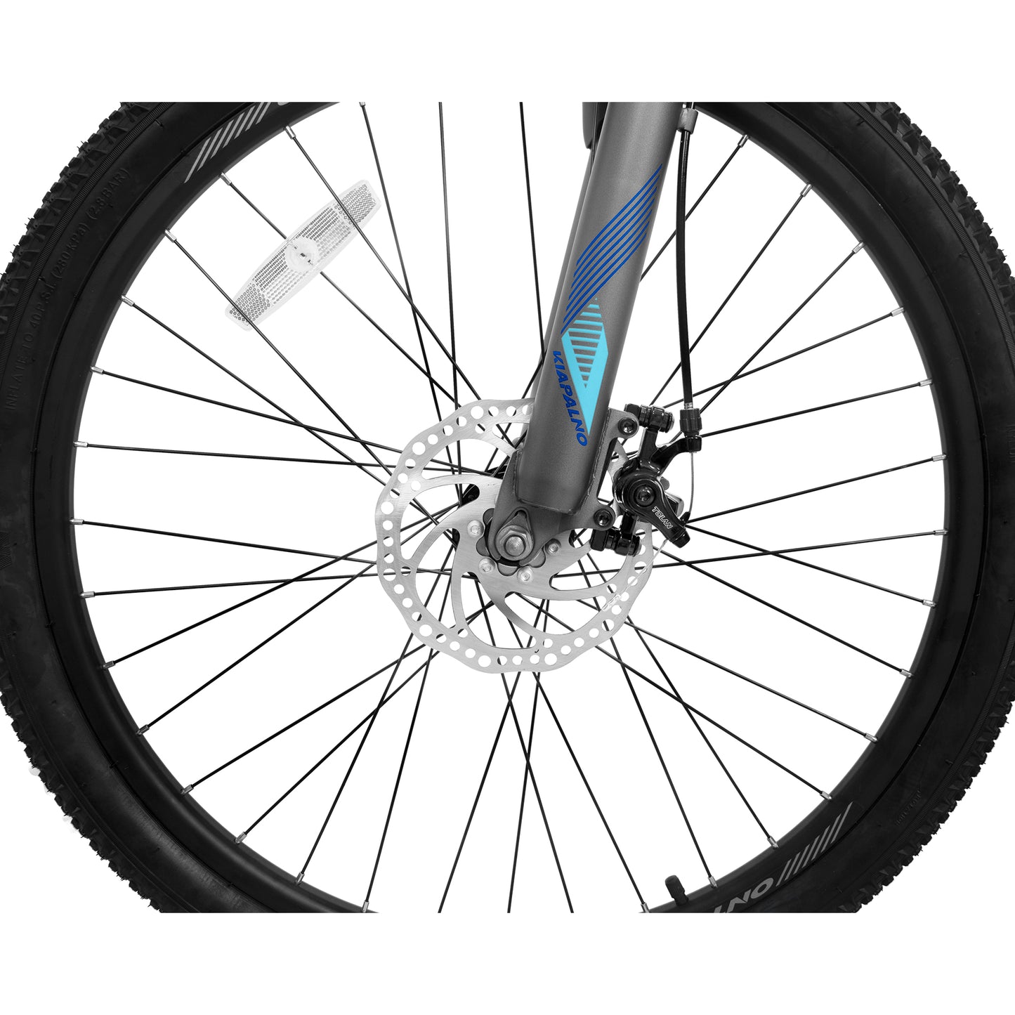 Ecarpat Sport 26Inch Mountain Bike,21 Speed Dual Disc Brake Mountain Bicycle For Adults,Teens