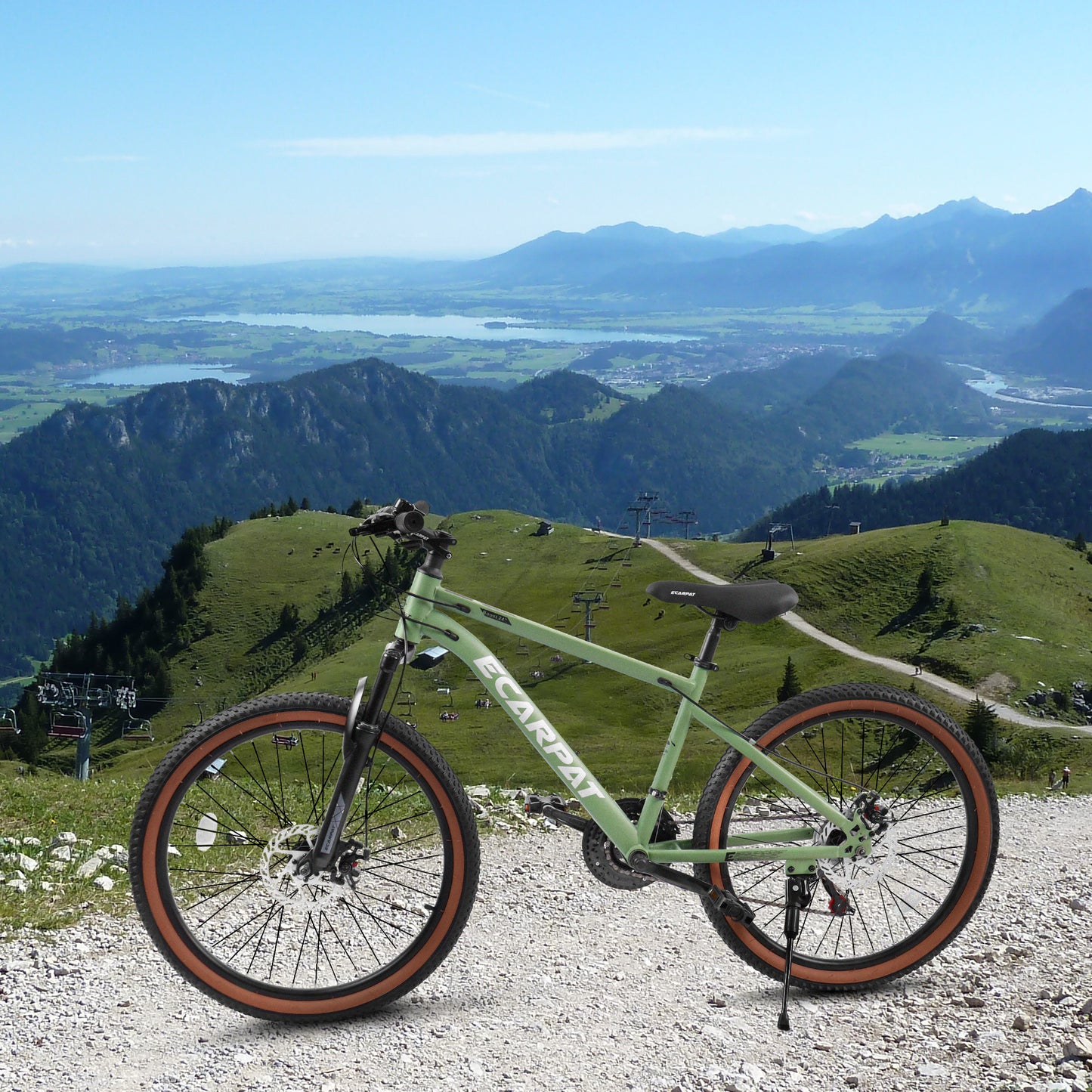 Ecarpat 24 Inch Mountain Bike, Dual/Front Suspension Mens Mountain Bike with 21 Speeds High-Carbon Steel Frame and Disc/V Brakes, Adult Sport Bicycle for Trail Snow Commuter City Road