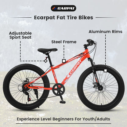 24 Inch Fat Tire Mountain Bike, 7 Speeds Front Suspension Dual Disc Brake, Men Women Carbon Steel Bicycles, Trail Beach Snow Commuter City Bikes